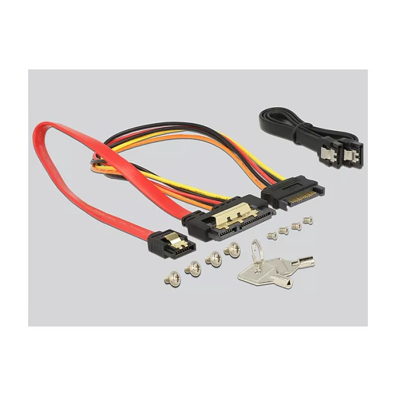 HDD krepšys DeLOCK 47228 universalus kompiuterio korpuso komponentas