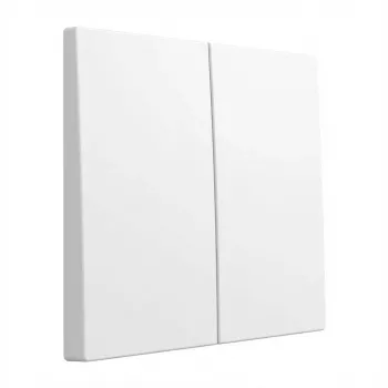 GIRA System 55 2-jungčių svirtinė plokštelė modelis 329503, Pure White