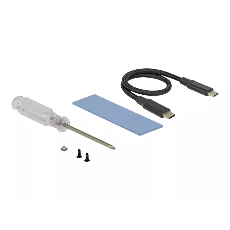 Kortelė DeLOCK 42600 USB 3.2 Gen 1 M.2 NVMe SSD dėklas