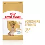 Sausas šunų ėdalas Royal Canin Yorkshire Terrier 8+ 3 kg – paukštiena, vyresniems Jorkšyro terjerams, baltymai 29%, riebalai 18%