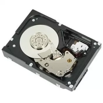 DELL 400-AUST vidinis kietasis diskas 2 TB 7200 RPM 3.5 colio Serial ATA III
