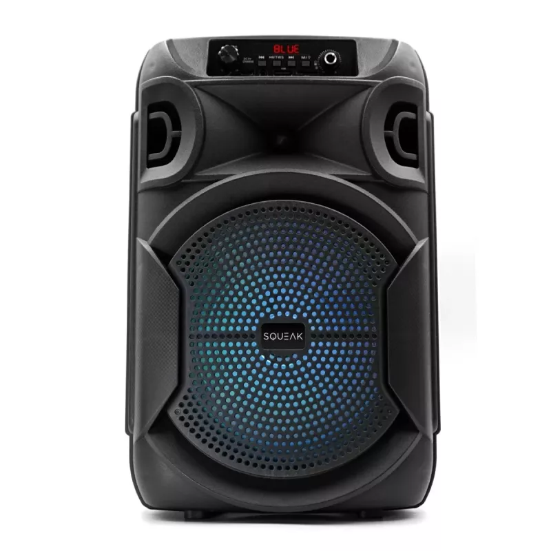 BELAIDIS KOLONĖLĖ SQUEAK PULSETOWER SQ1006, BLUETOOTH 5.3, 30W, JUODA
