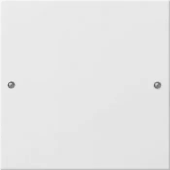 Gira 218103 Baltas