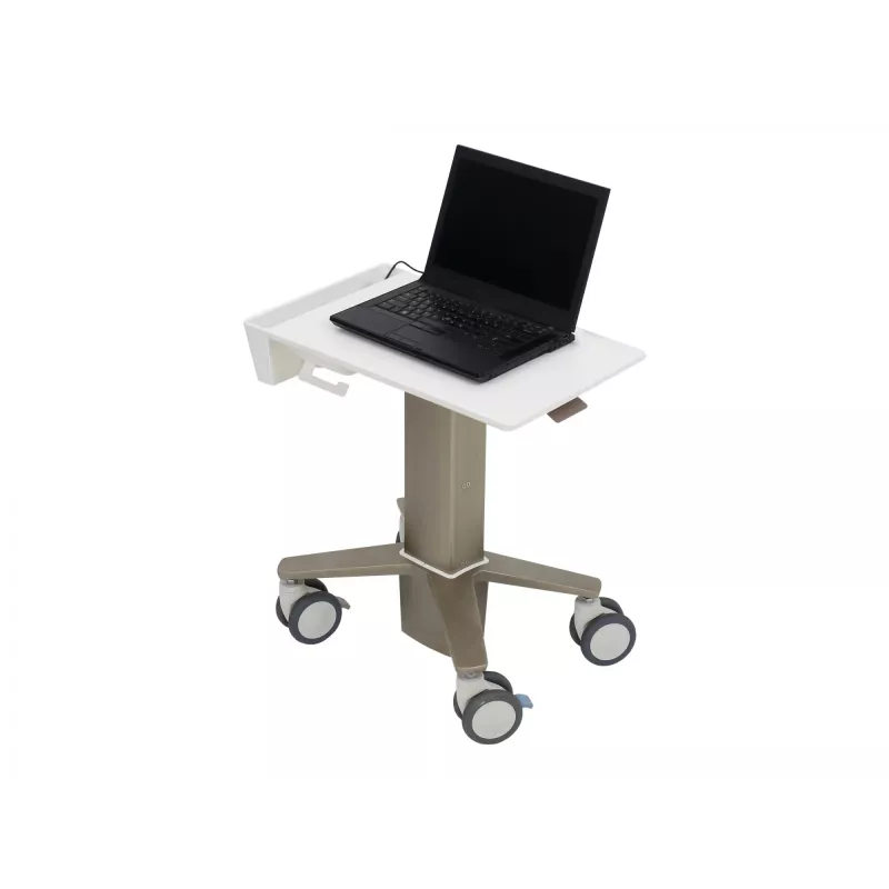 Nešiojamojo kompiuterio stovas Ergotron C50-1100-0 pilkas 39,6 cm