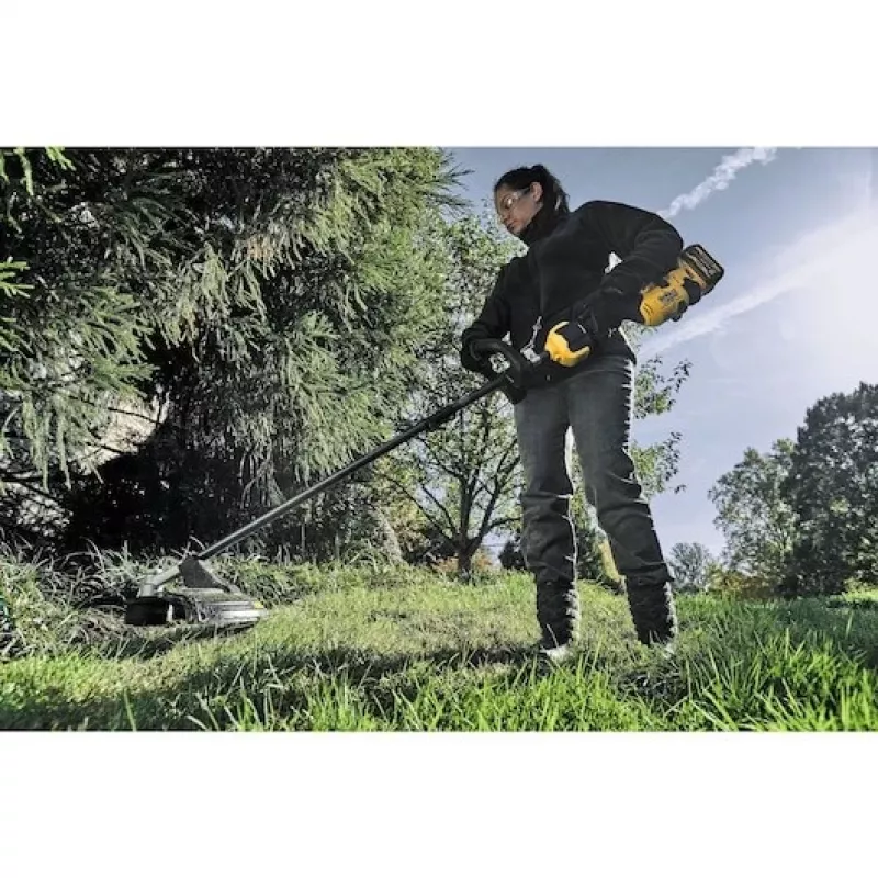 DeWALT DCMAS5713N-XJ vejapjovė