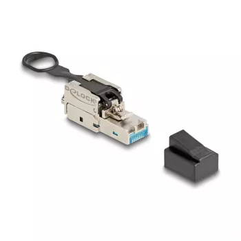 DeLOCK RJ45 kištukas lauko montavimui Cat.6A beįrankis sidabrinis vyriškas