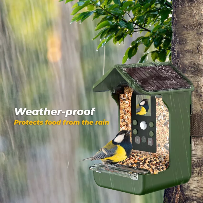 EASYPIX Bird Cam 10123 1080p HD naktinio matymo paukščių kamera