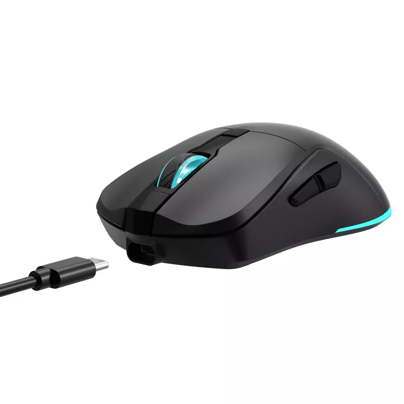 Belaidė pelė Baracuda BGM-121 Turtle Black USB