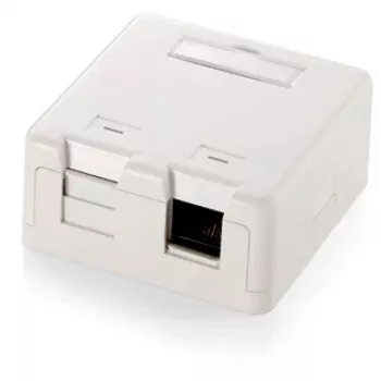 2 prievadų Keystone lizdo paviršinė montavimo dėžutė Equip 125122