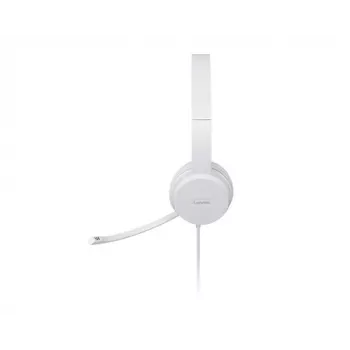 Lenovo GXD1E71385 ausinės / headset Laidinės USB-A Pilka