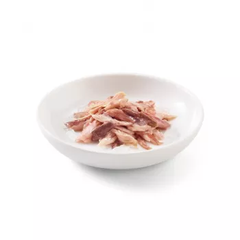 SCHESIR Tunas su jautiena drebučiuose – šlapias kačių ėdalas – 85g