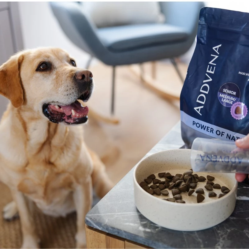 ADDVENA Power of Nature Senior Medium/Large ėriena - sausas šunų ėdalas - 10kg