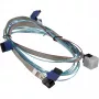 Vidinis SAS lankstus serverio kabelis Supermicro CBL-SAST-1270S-100 70 cm
