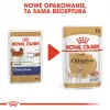 Royal Canin Chihuahua maistas šunims, 12 x 85 g pakuotė