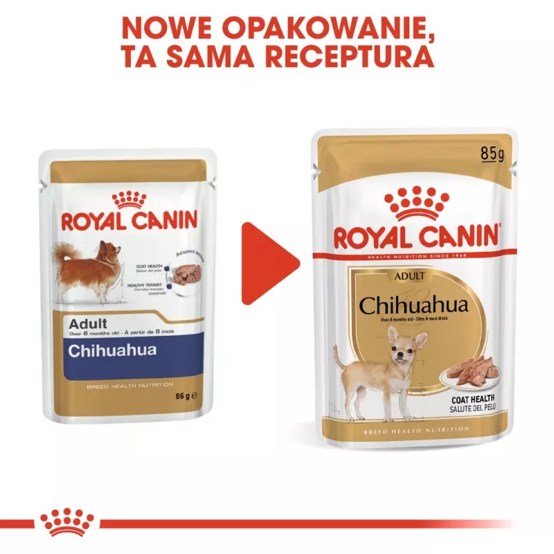 Royal Canin Chihuahua maistas šunims, 12 x 85 g pakuotė