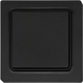 Jungiklis Eltako F2T55E-am 55×55 mm antistatinis matinis – sieninis elektrinis jungiklis