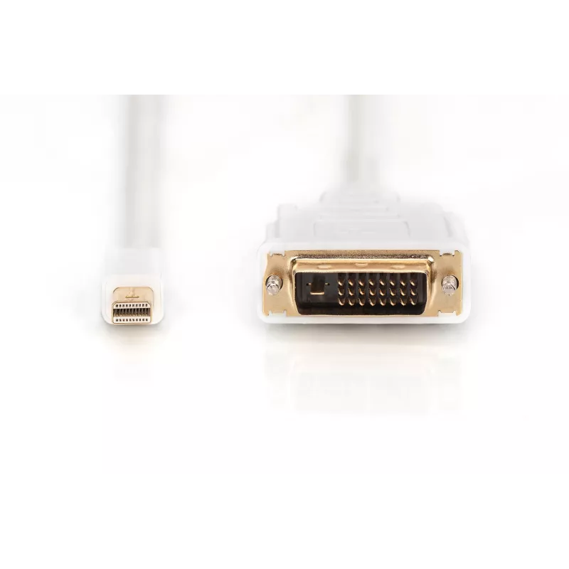 Kabelis DisplayPort 1.1a mini DP-DVI tipas MM 2.0m