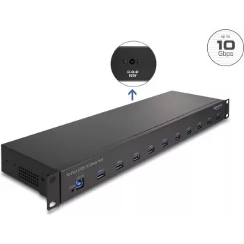 DeLOCK 64240 pramoninis USB šakotuvas 19 colių, 10 x USB-A, 10 Gbps