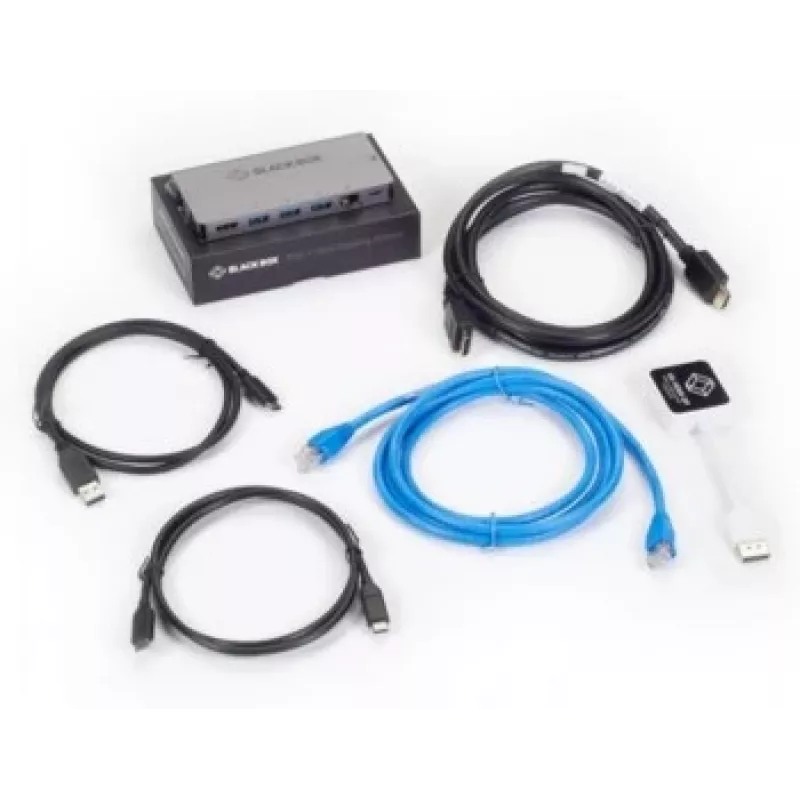 Black Box USB-C dokavimo stotelė su DisplayPort laidu