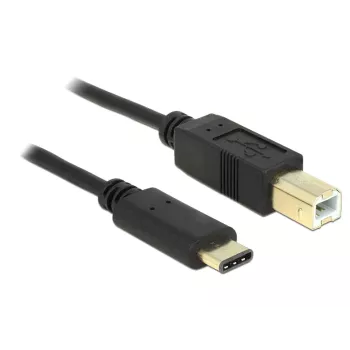 USB laidas DeLOCK 2m USB 2.0-C / USB 2.0-B