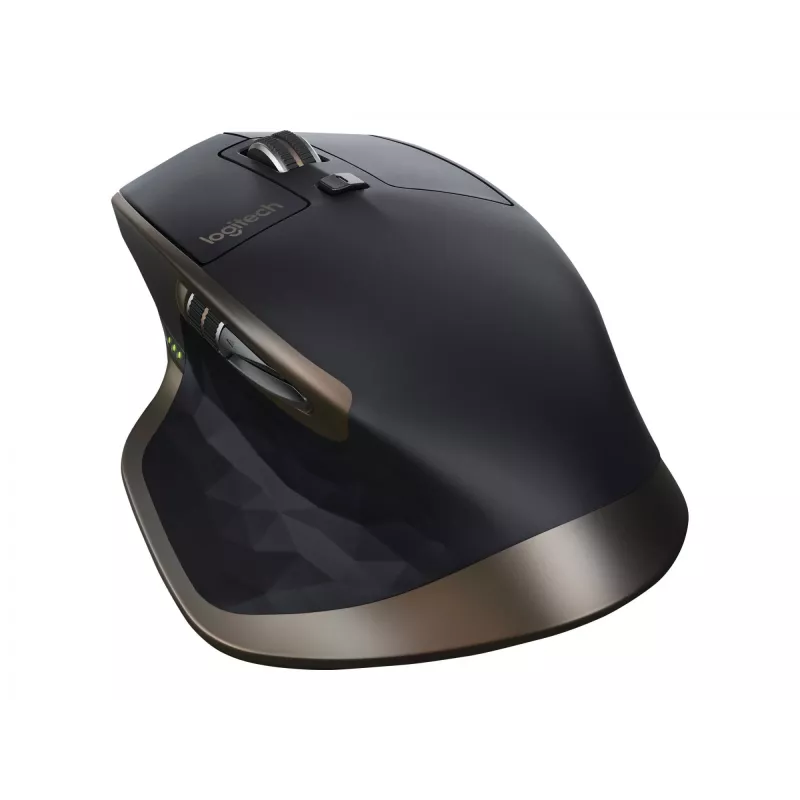 PELĖ USB BELAIDĖ LAZERINĖ MX MASTER / 910-005213 LOGITECH