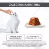 Šlapias kačių ėdalas Purina Nestlé Gourmet Revelations gabaliukai drebučiuose su lašiša 2x57 g, suaugusioms katėms, pilnavertis pašaras
