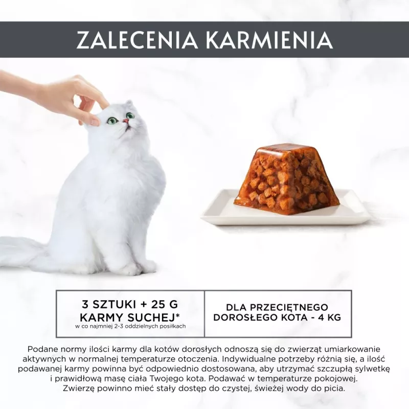 Šlapias kačių ėdalas Purina Nestlé Gourmet Revelations gabaliukai drebučiuose su lašiša 2x57 g, suaugusioms katėms, pilnavertis pašaras
