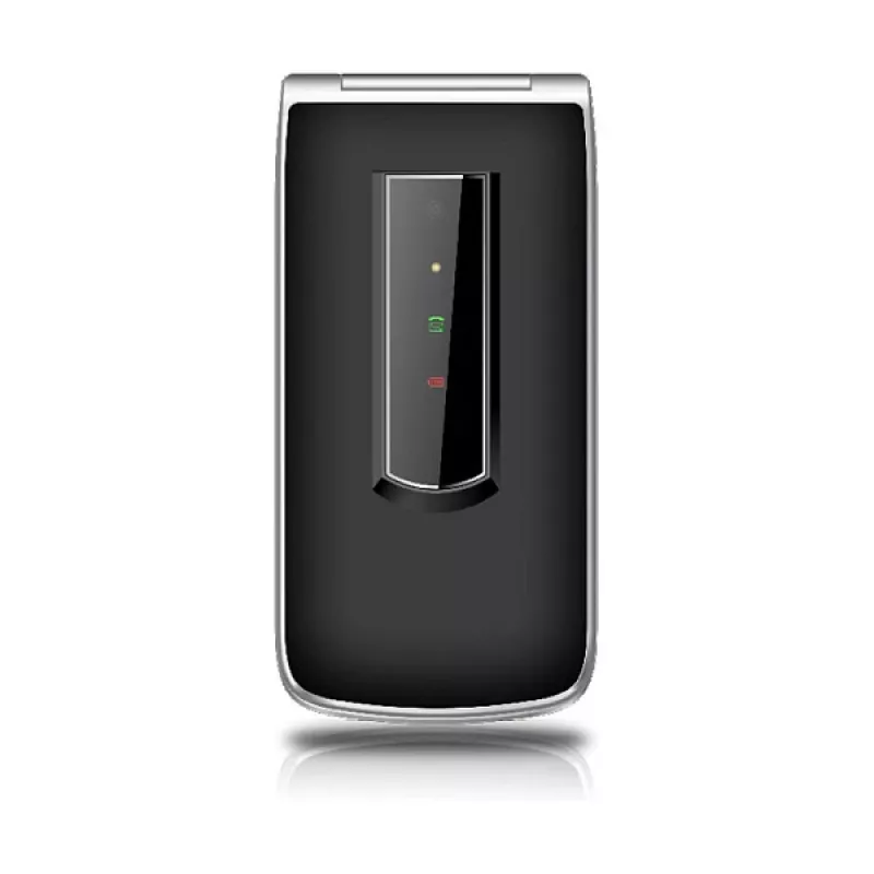 Beafon SL495LTE_EU003B Sidabrinis