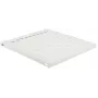 Stelažo lentyna Lanview RAS105WH balta 1U 50 kg