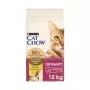 Purina Cat Chow Special Care Urinary Tract Health kačių sausas ėdalas 15 kg Suaugusios Vištiena