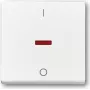 Busch Jaeger 1788-84 White (1751-0-2750) jungiklis