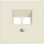 JUNG LS 969-2 UA - RJ-45 lizdas, 2x8 UPO, dramblio kaulo spalva, termoplastas