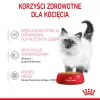 Royal Canin Feline Health Nutrition Kitten Instinctive drebučiuose drėgnas pašaras kačiukams, 12 x 85 g