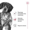 Royal Canin SHN Medium Adult sausas maistas šunims, 15 kg