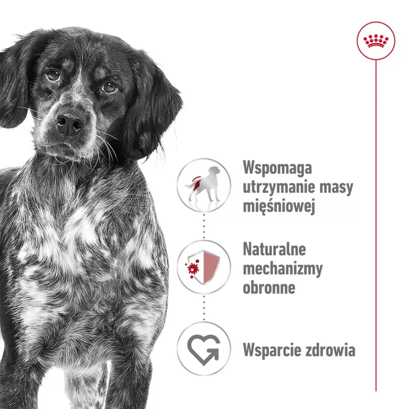 Royal Canin SHN Medium Adult sausas maistas šunims, 15 kg
