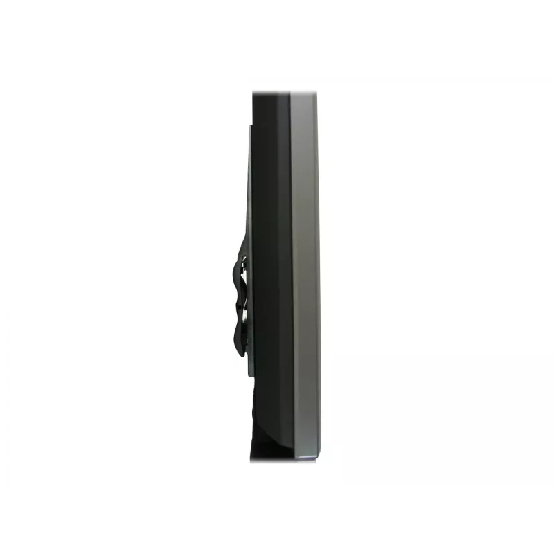 Ergotron 60-604-003 sidabrinis monitoriaus laikiklis