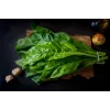 Lucullus Leaf Beet Toraf daržovių sėklos, 5g pakuotė