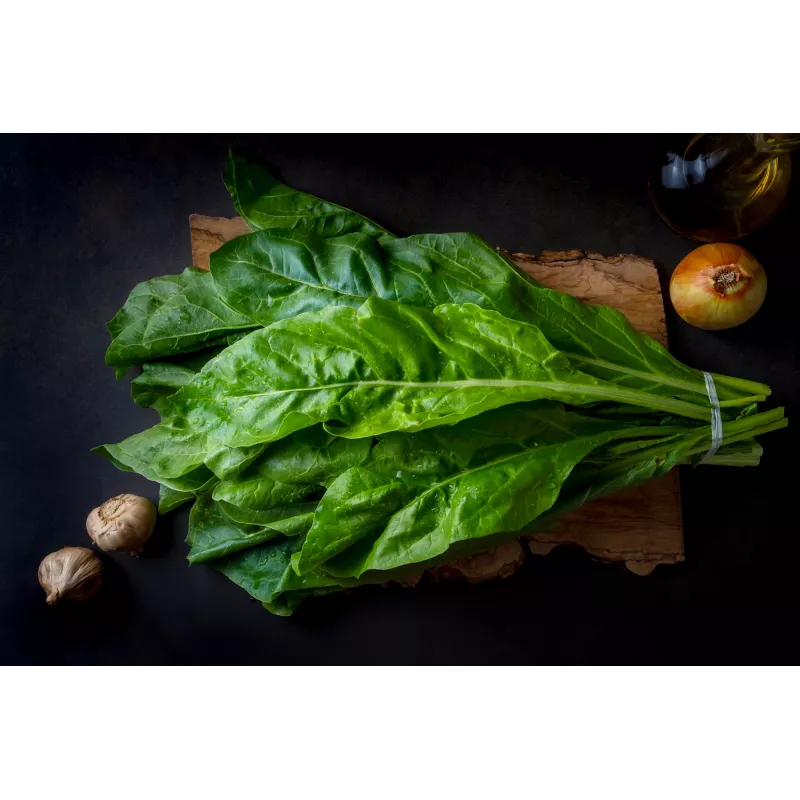 Lucullus Leaf Beet Toraf daržovių sėklos, 5g pakuotė