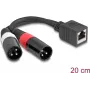 DeLOCK garso kabelis 0,2 m RJ-45 2 x XLR (3 kontaktų) Juoda 88179