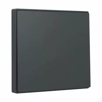 Gira System 55 Wippe Anthracite 329628 – jungiklio rokerinė plokštelė moduliniams rėmams