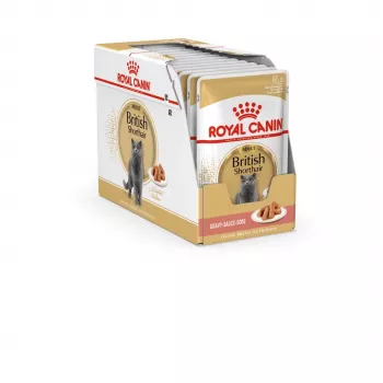 Šlapias ėdalas katėms Royal Canin British Shorthair Adult maišelyje 85 g, paukštiena, ROYAL CANIN Feline Breed Nutrition