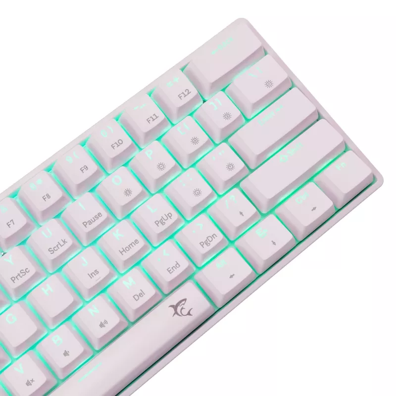 Laidinė mechaninė klaviatūra White Shark Shinobi-2 (GK-004211) — US išdėstymas, Red jungikliai, balta