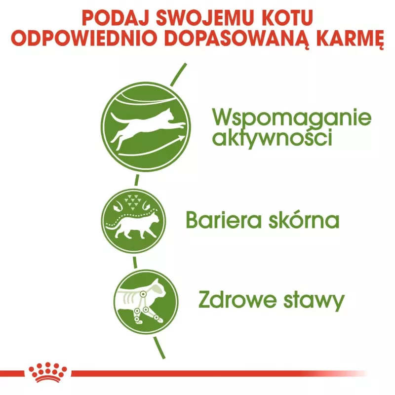 Sausas kačių ėdalas Royal Canin Active Life Outdoor 4 kg – suaugusioms, paukštiena, 30% baltymų, 20% riebalų