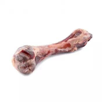MACED Parma kumpio kaulas šuniui - 330g