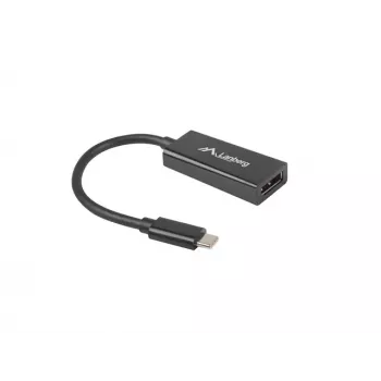 Vaizdo kabelio adapteris Lanberg AD-UC-DP-01
