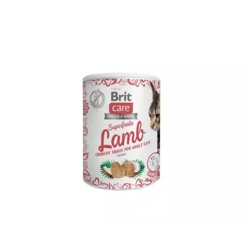 Brit Treat Superfruits ėdalo skanėstas suaugusioms katėms su ėriena 100 g