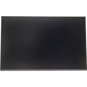 Ekrano modulis Lenovo T16 Gen 2 16.0 colių WUXGA IPS matinis