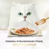 PURINA Gourmet Gold Succulent Delights Chicken – šlapias kačių ėdalas – 85 g