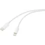 Renkforce USB 2.0 kabelis USB-C kištukas – Apple Lightning kištukas baltas (RF-6857550)