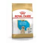 ROYAL CANIN SHN Breed Labrador Junior sausas šunų ėdalas - 12 kg